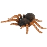 Фигурка декоративная "Мексиканский тарантул" Характеристики: Длина фигурки: 9,5 см инфо 11973a.
